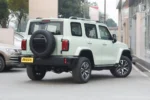 Tank 300 Time Traveler Compact SUV– Buy Direct From China | CAR IN CHINA