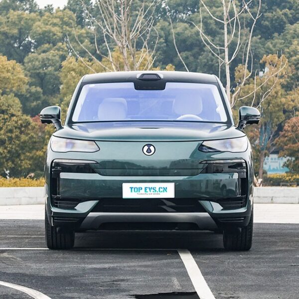 Denza N9 DM 2026– China Export Vehicle | CarBuyChina