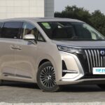 DENZA D9– For Sale From China | CarBuyChina