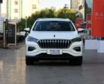 Hongqi E-HS3– Buy Direct from China | CAR IN CHINA® - Image 3