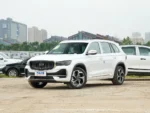 Geely Monjiaro 2.0t 2023 Version – Buy Direct from China | CAR IN CHINA® - Image 4