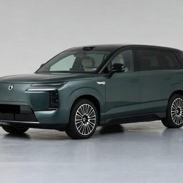 DENZA N8L– Buy Direct from China | CAR IN CHINA®